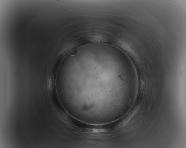 X0000088370165200705291335