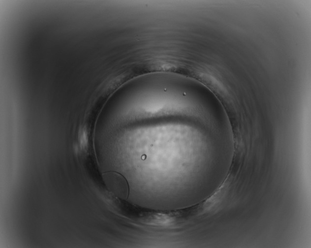 X0000088370166200705291335