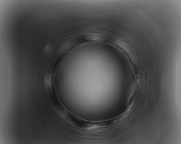 X0000088370167200705291335