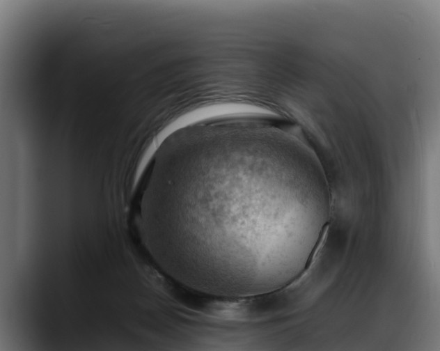 X0000088370170200705291335