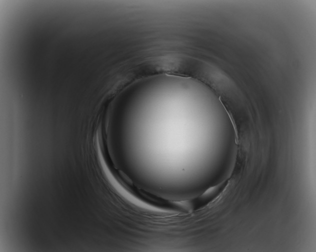 X0000088370172200705291335
