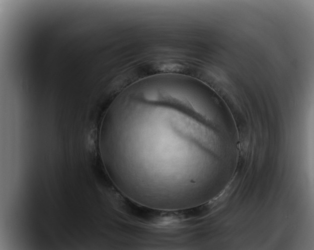 X0000088370175200705291335