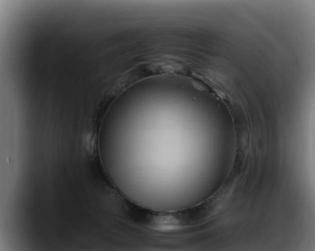 X0000088370177200705291335