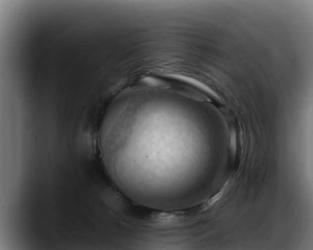 X0000088370180200705291335