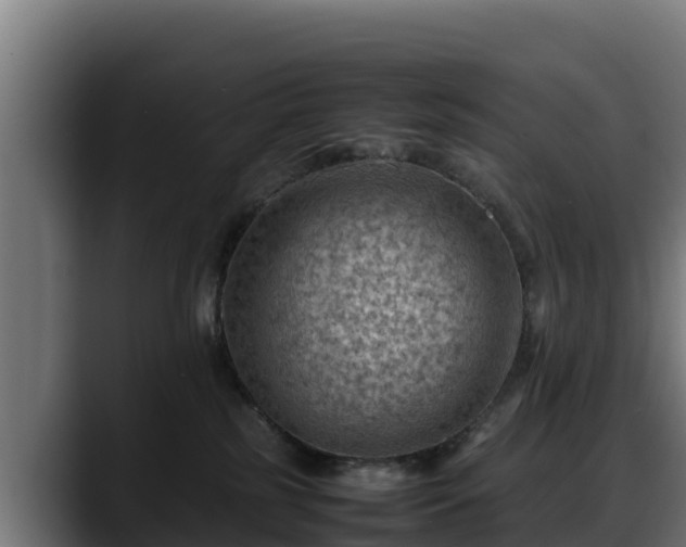 X0000088370185200705291335
