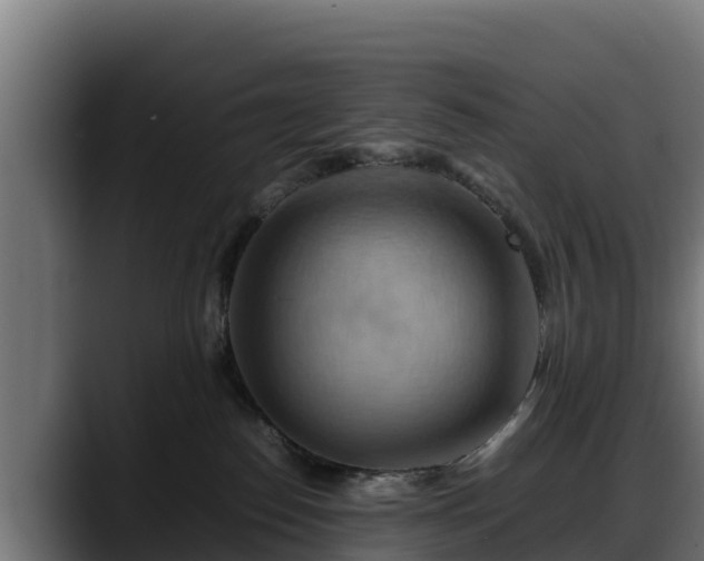 X0000088370186200705291335