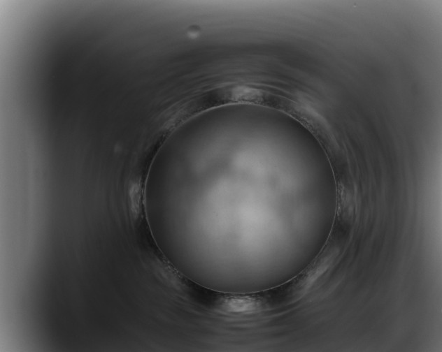 X0000088370189200705291335