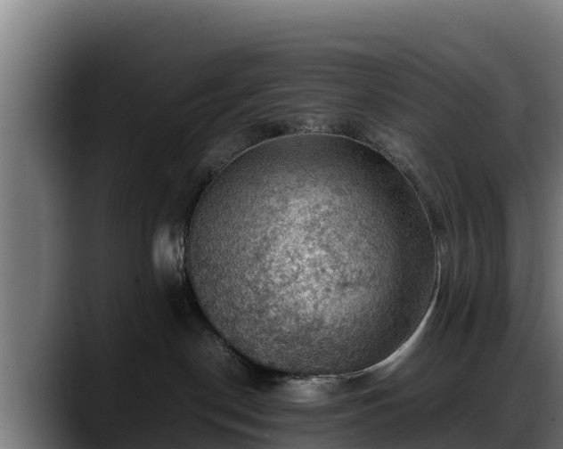 X0000088370190200705291335