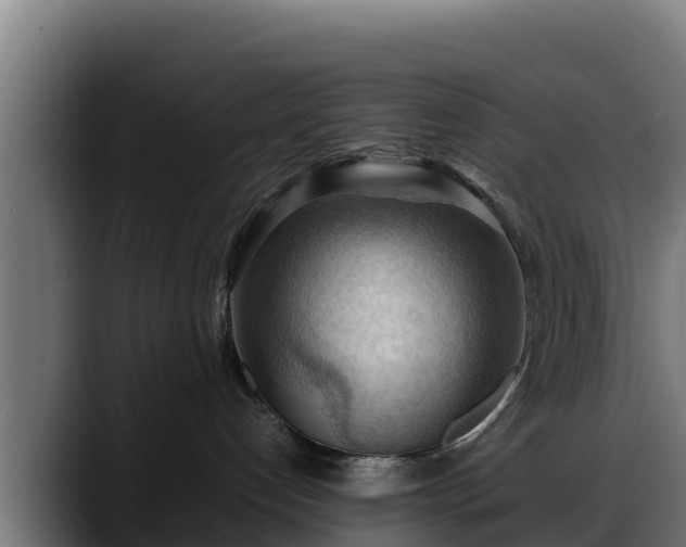 X0000088370192200705291335