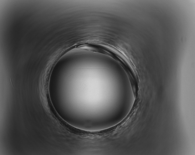 X0000088370193200705291334