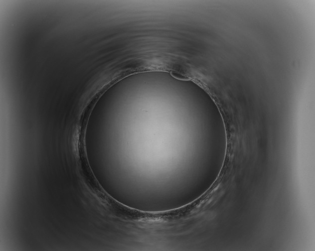 X0000088370194200705291334