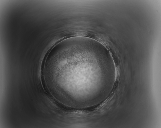 X0000088370195200705291334