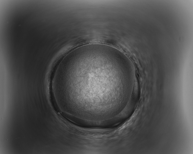 X0000088370197200705291334