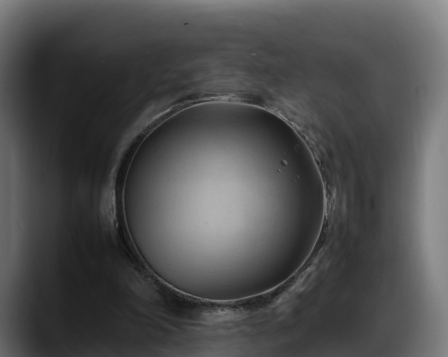 X0000088370198200705291334