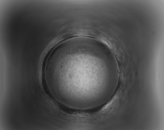 X0000088370199200705291334