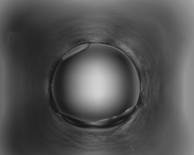 X0000088370201200705291334