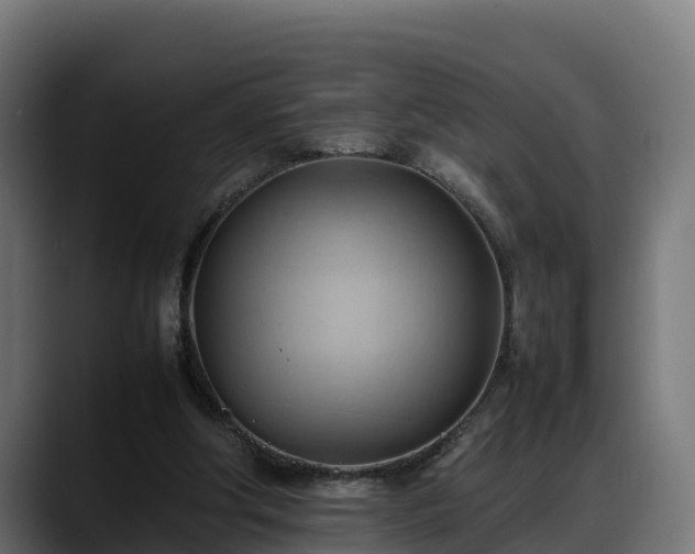 X0000088370202200705291334