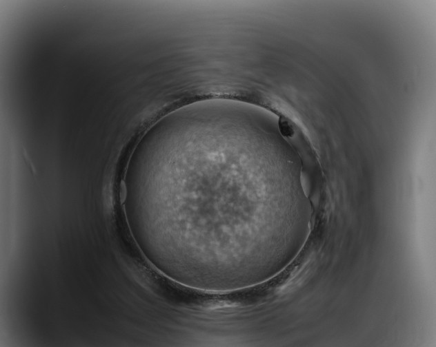 X0000088370203200705291334