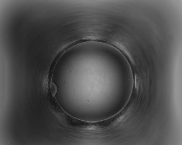 X0000088370204200705291334