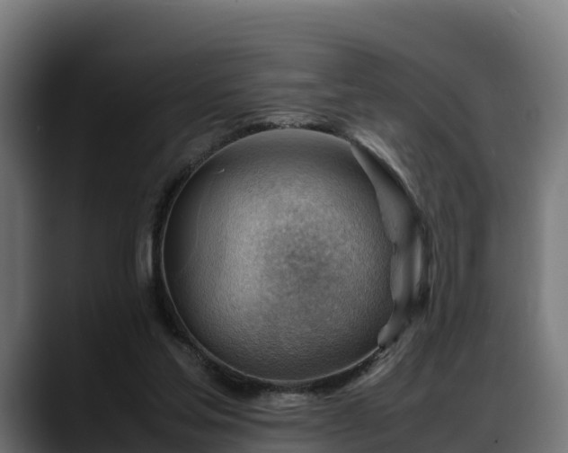 X0000088370205200705291334
