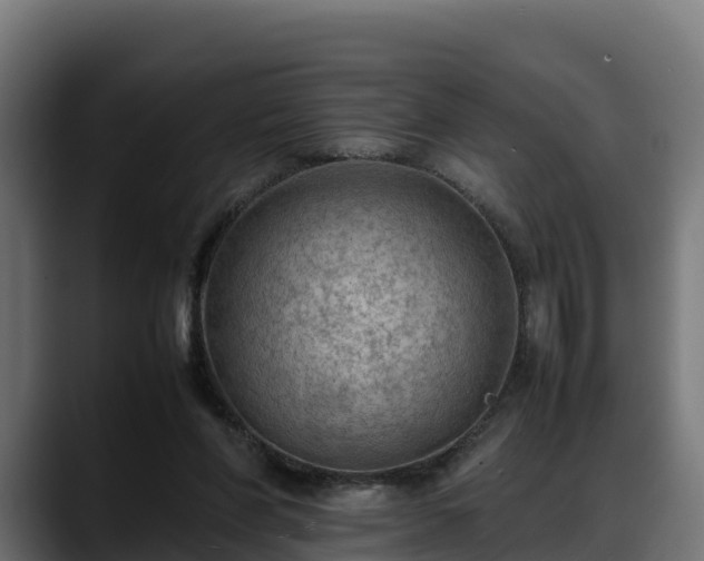 X0000088370206200705291334