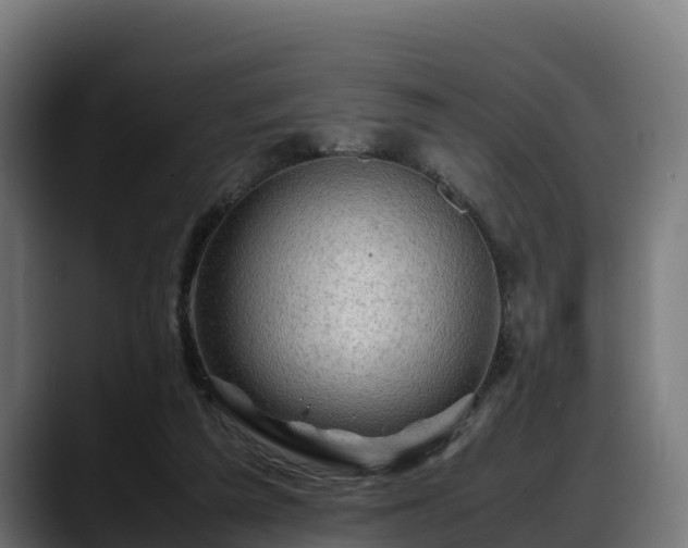 X0000088370209200705291334