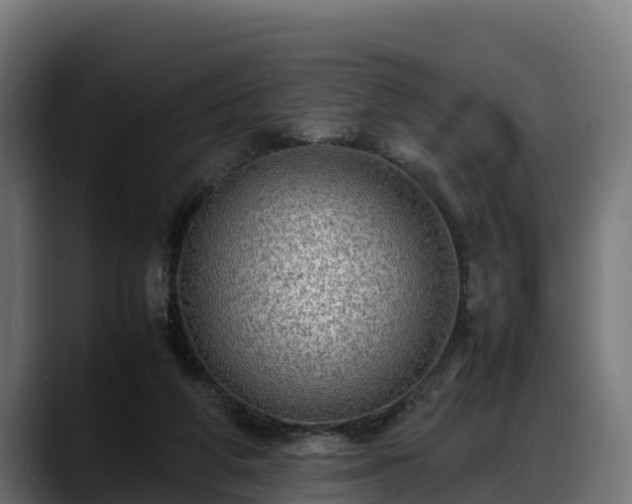 X0000088370210200705291334