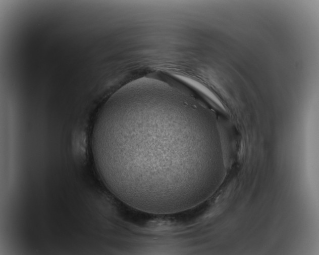 X0000088370211200705291334