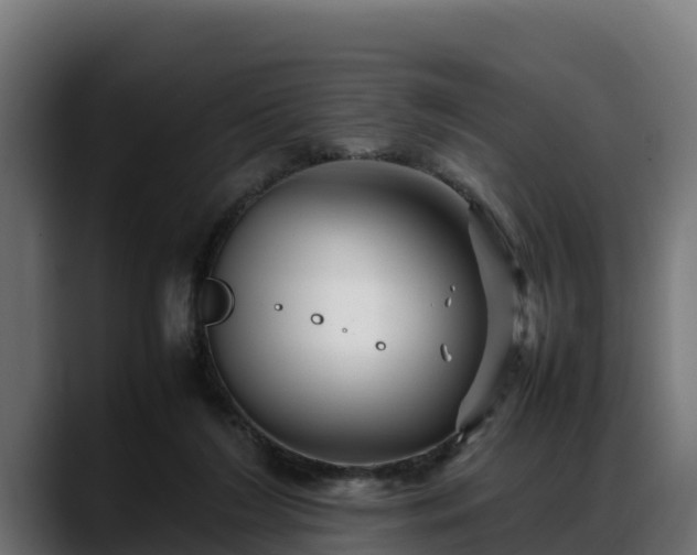 X0000088370212200705291334