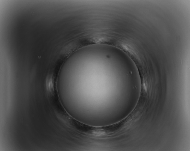 X0000088370214200705291334