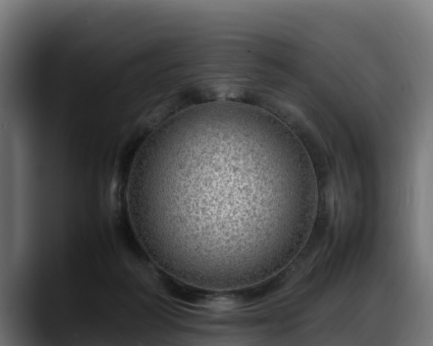 X0000088370218200705291334