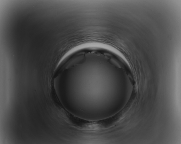 X0000088370219200705291334