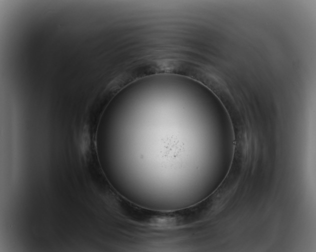 X0000088370220200705291334