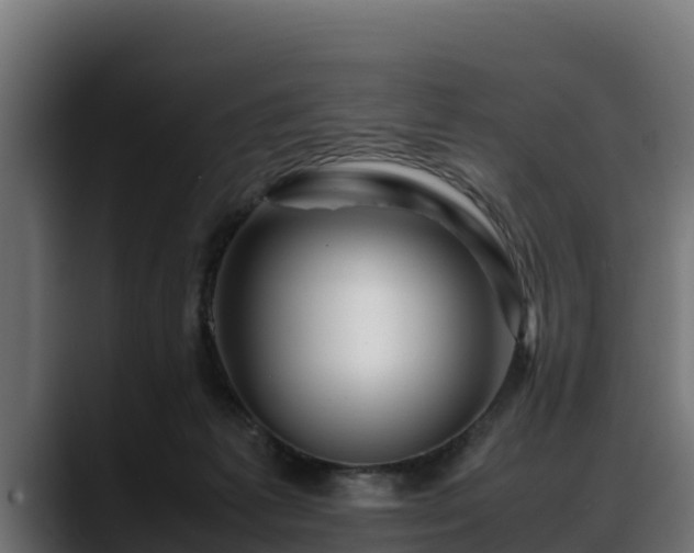 X0000088370221200705291334
