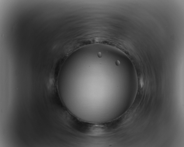 X0000088370222200705291334