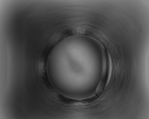 X0000088370224200705291334