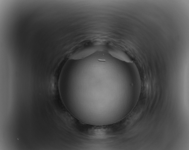 X0000088370228200705291334