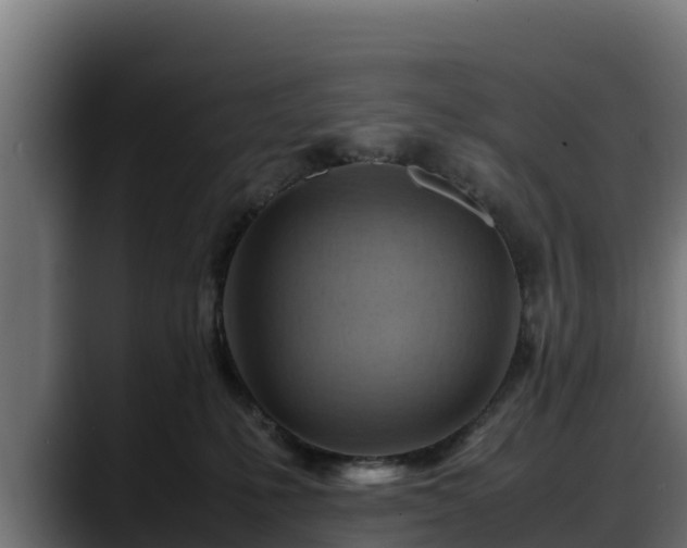 X0000088370231200705291334