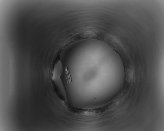 X0000088370232200705291334