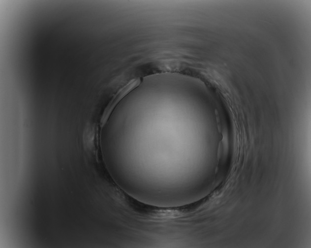 X0000088370233200705291334