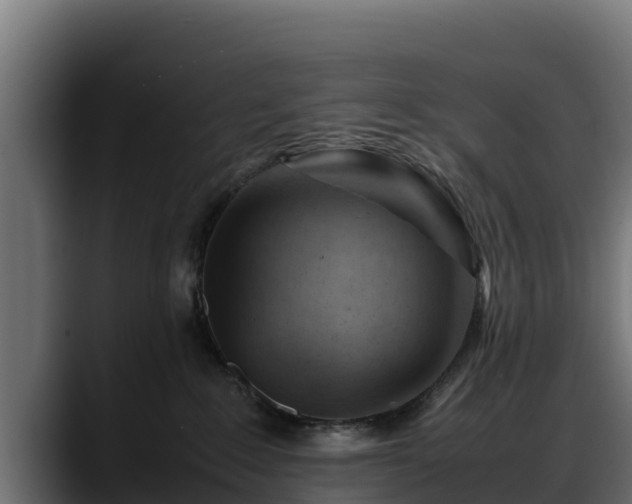 X0000088370235200705291334