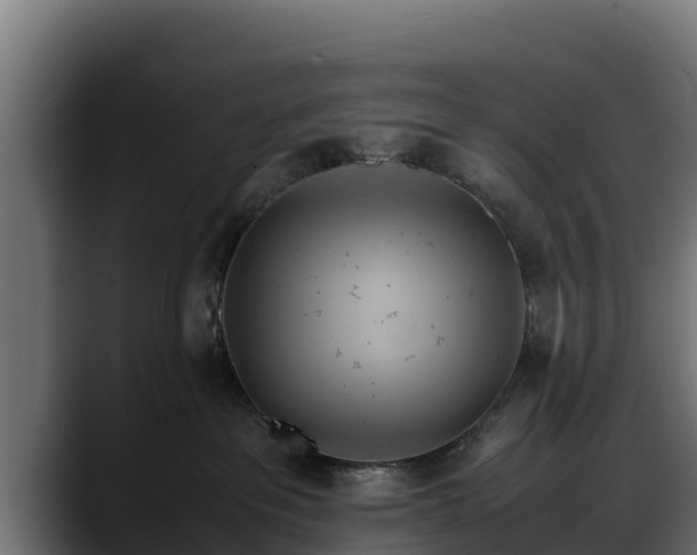 X0000088370237200705291334