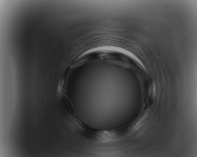 X0000088370239200705291334