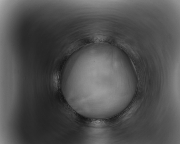 X0000088370240200705291334