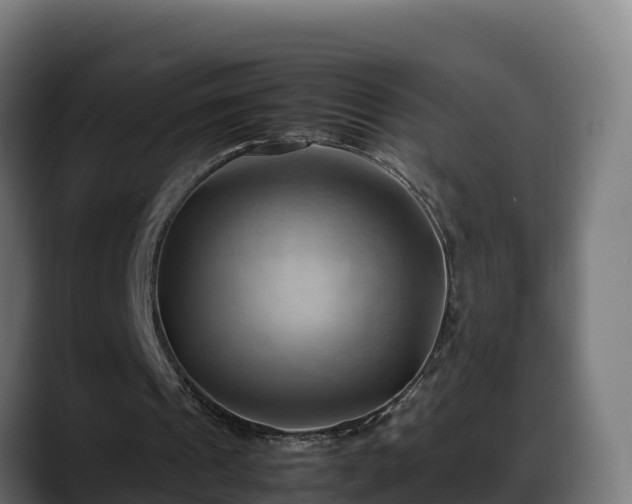 X0000088370241200705291333