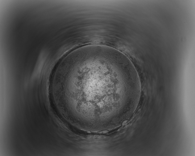 X0000088370242200705291333