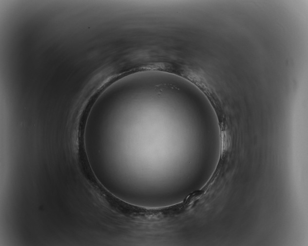 X0000088370243200705291333