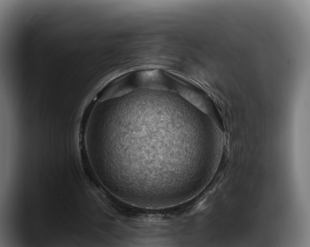 X0000088370244200705291333