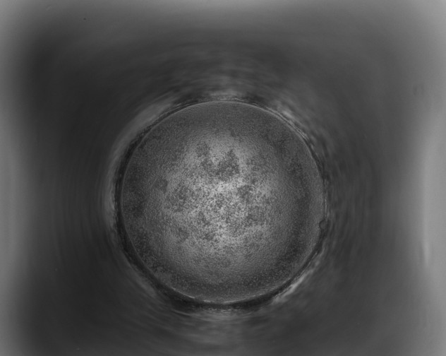 X0000088370245200705291333