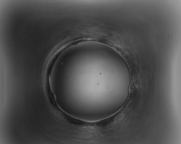 X0000088370247200705291333